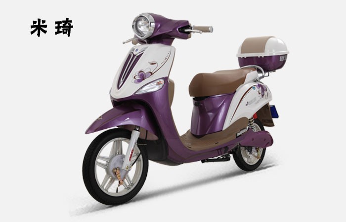 【欧派电动车批发】价格,厂家,电动自行车